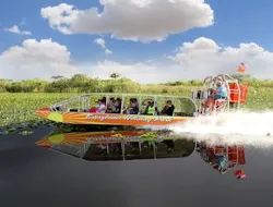 Miami Combo: Bus Tour, Bay Cruise, & Everglades